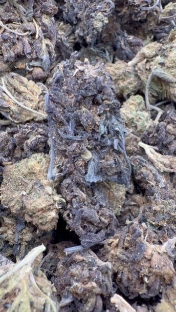 Cherry Runtz - Bulk- Hybrid