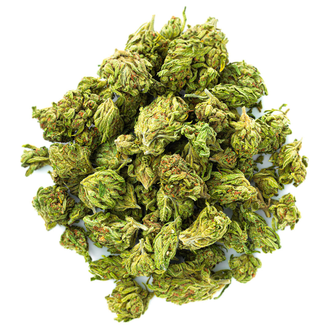 ZAZA - Blueberry Cough - 28 Grams - Sativa
