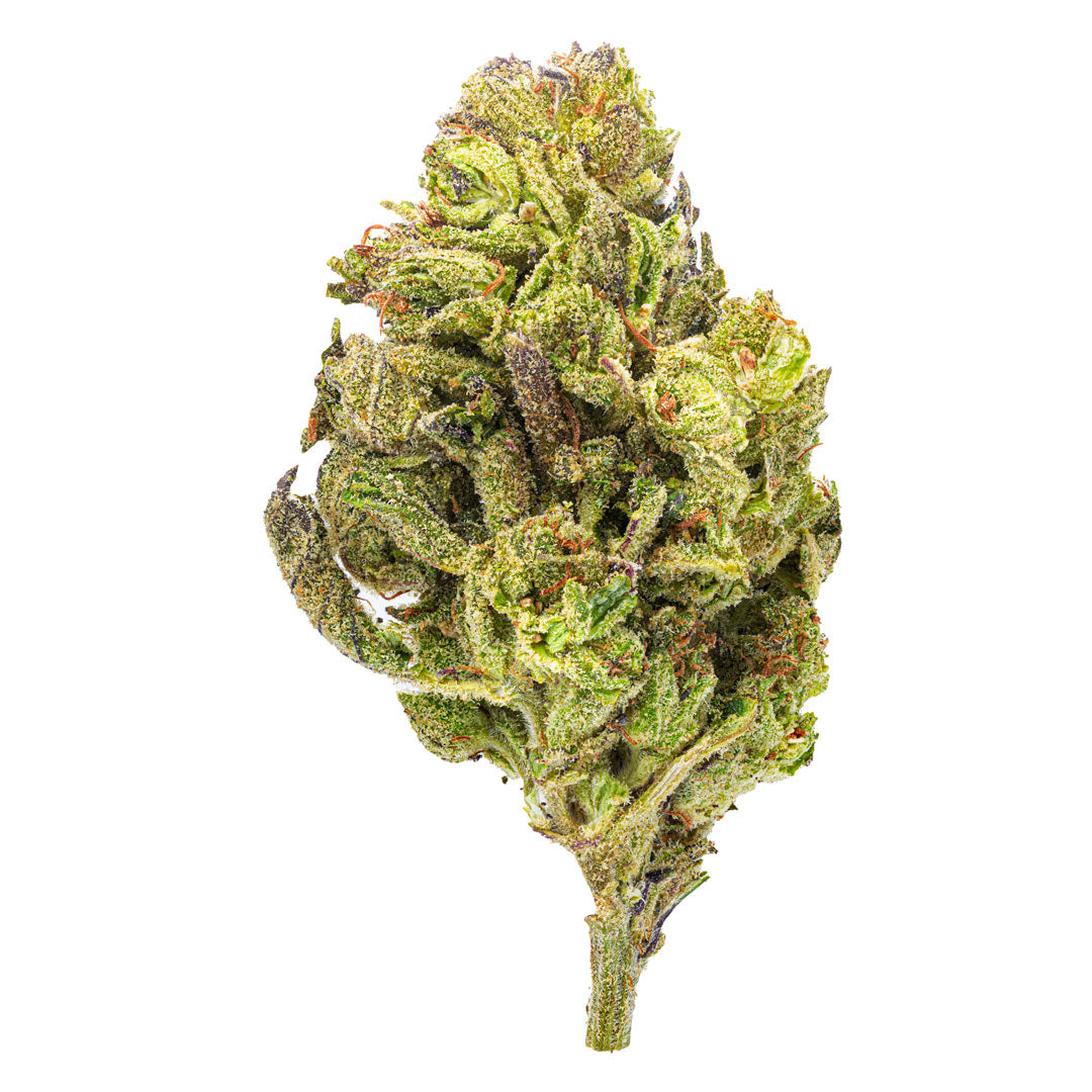 ZAZA - Purple Kush - 28 Grams - Indica