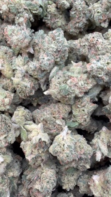 Blue Dream Indoor Littles - Bulk Littles - Sativa