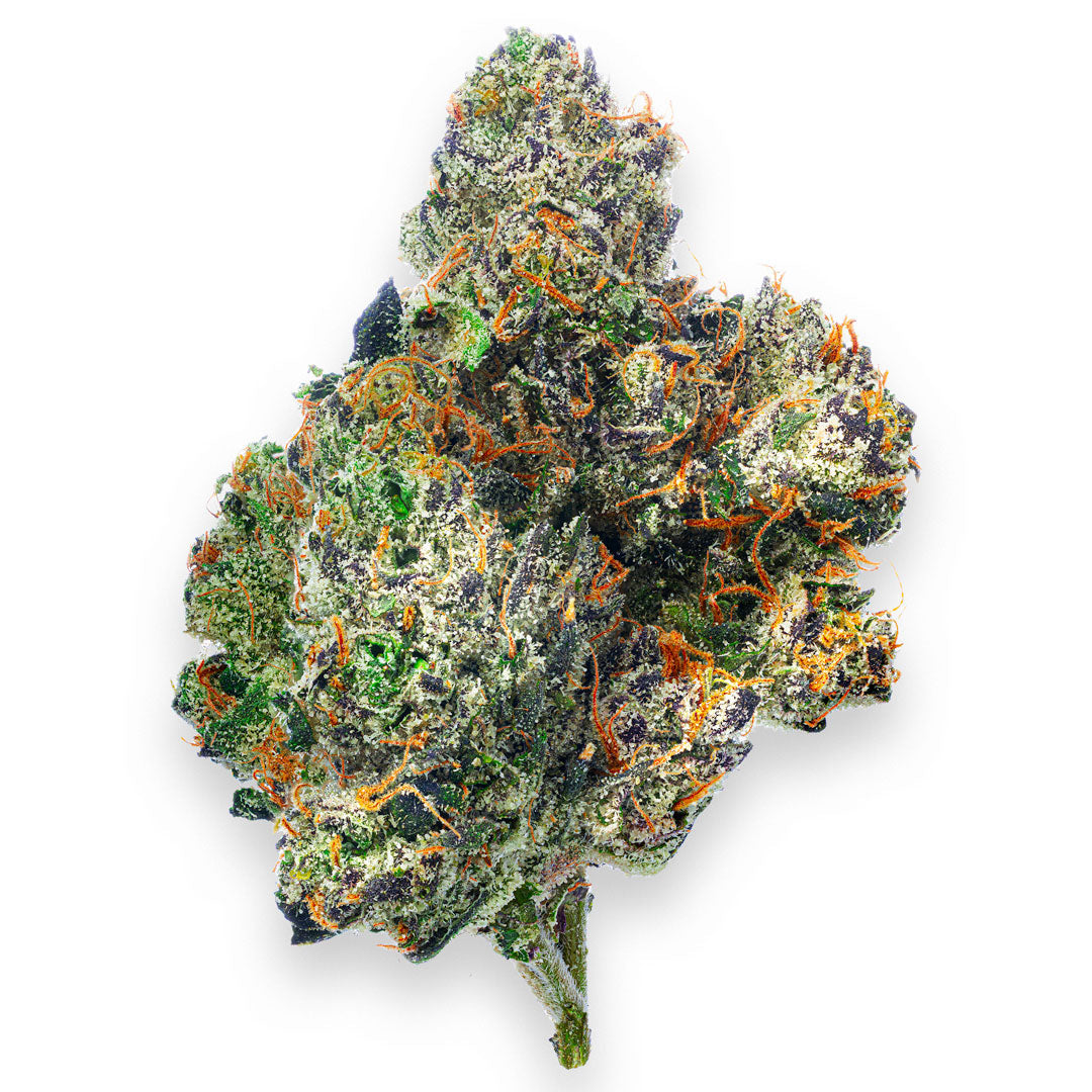 Boutique Exotics Obama Runtz - 28 Grams - Hybrid