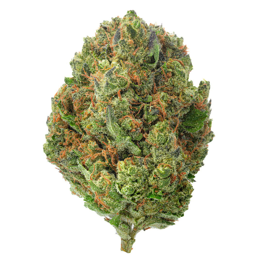 West West Brand - Chocolate Diesel - 14 Grams - Hybrid