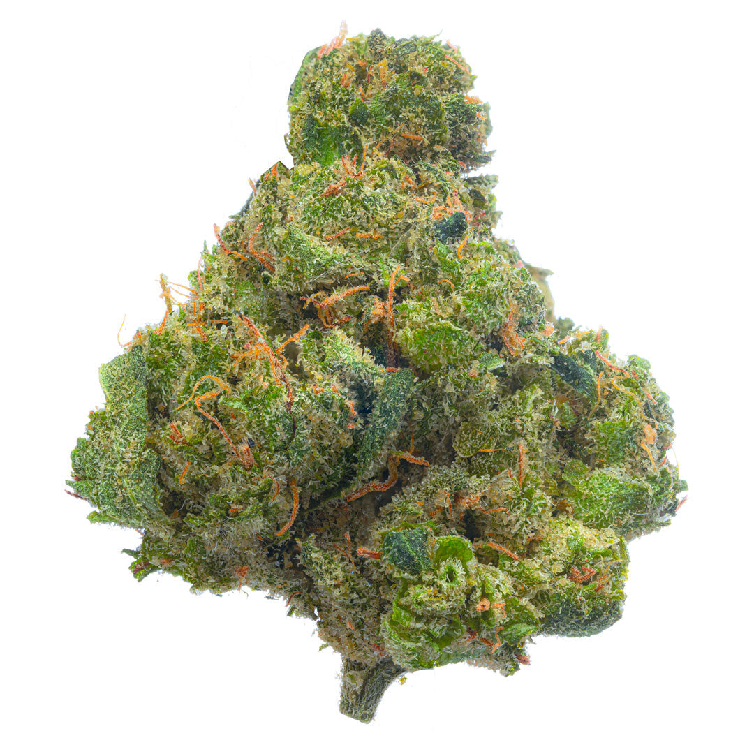 ZAZA - Jack Herer Indoor - 4 Grams - Sativa