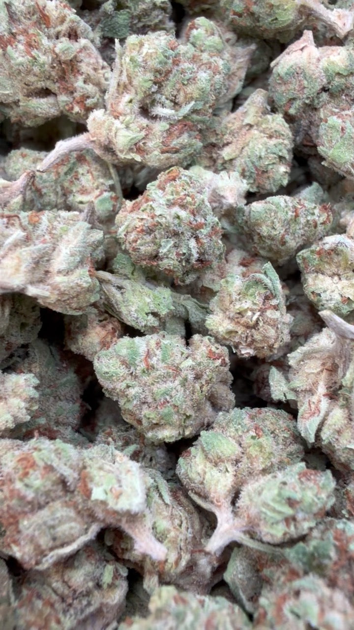 Italian Ice Cream Cookies Littles - Bulk Littles - Hybrid