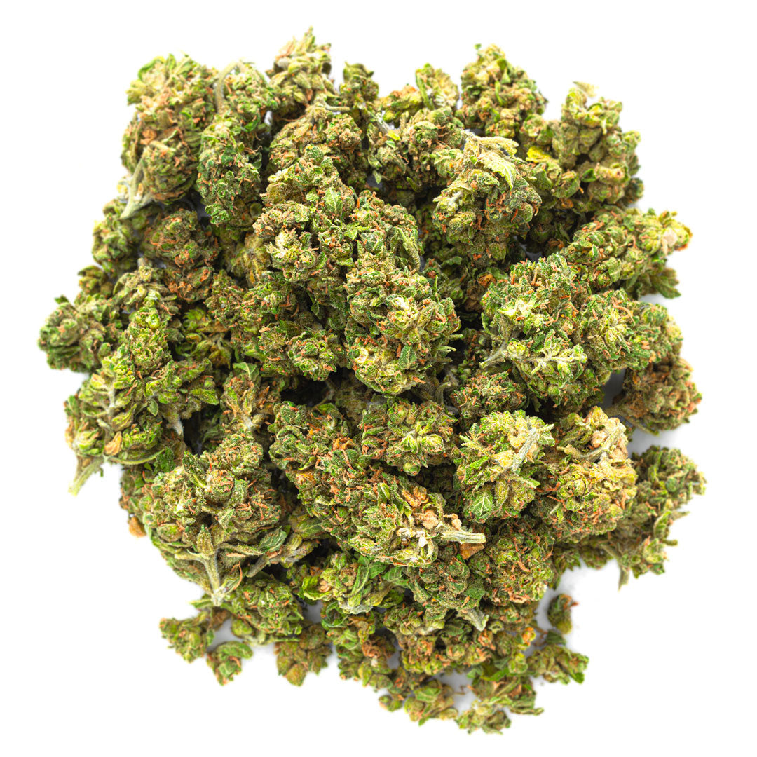 ZAZA - Northern Lights - 28 Grams - Indica