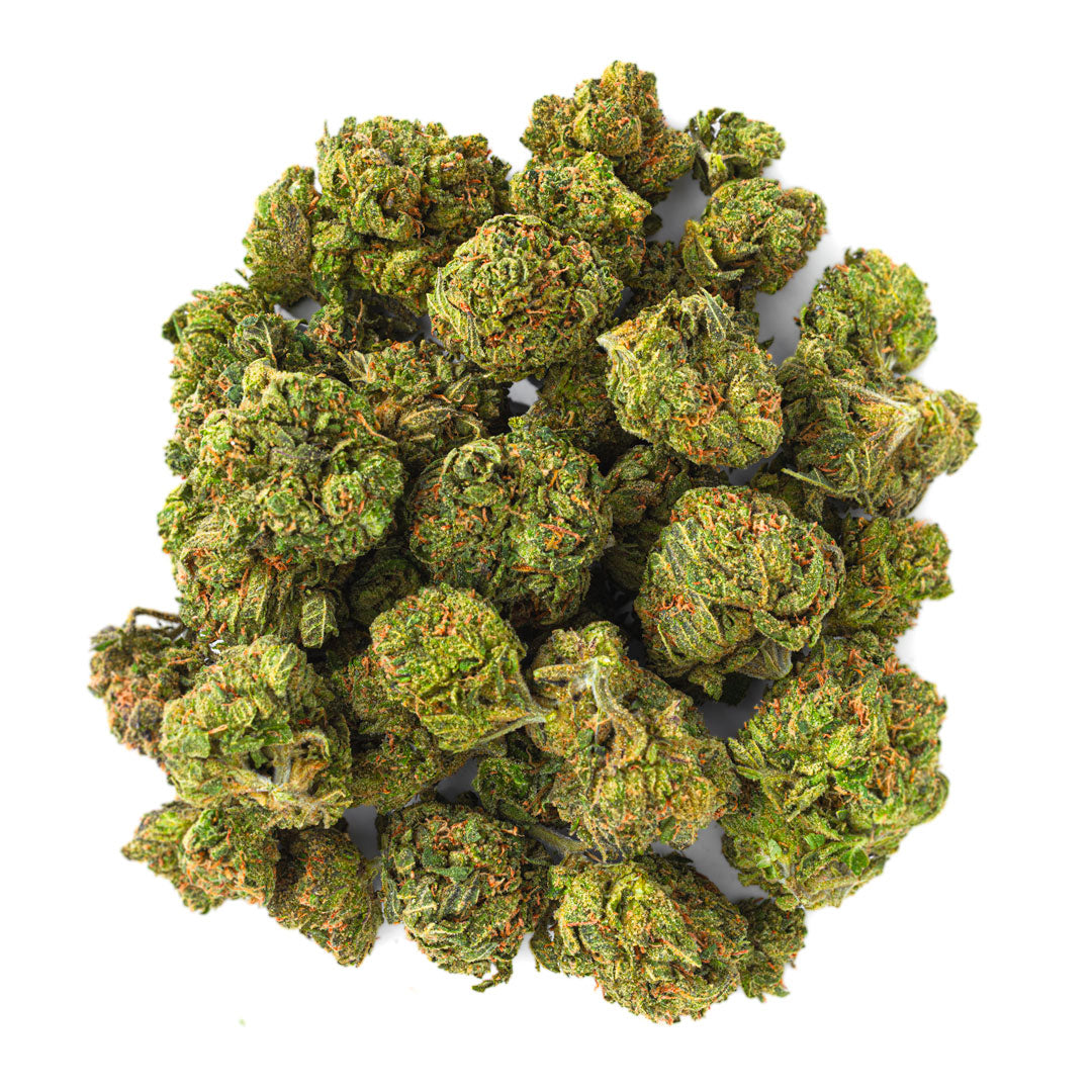 ZAZA - Rainbow Sherbet - 14 Grams - Hybrid