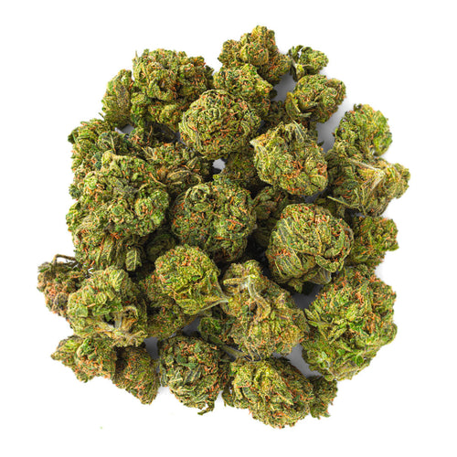 ZAZA - Rainbow Sherbet - 14 Grams - Hybrid