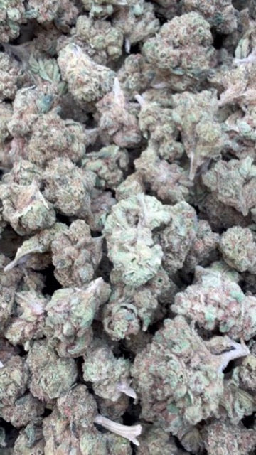 Orange Creamsicle - Bulk Littles - Sativa