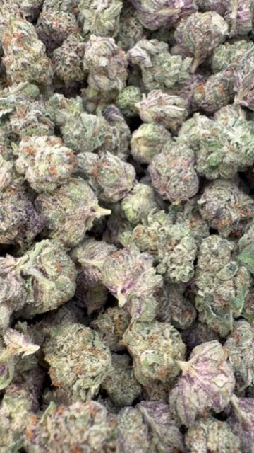 Birthday Cake Indoor Littles - Bulk Littles - Indica
