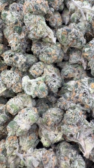 Do Si Dos Indoor Littles - Bulk Littles - Indica