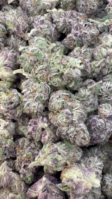 Indoor Exotic Purple Jack Littles - Bulk Littles - Hybrid