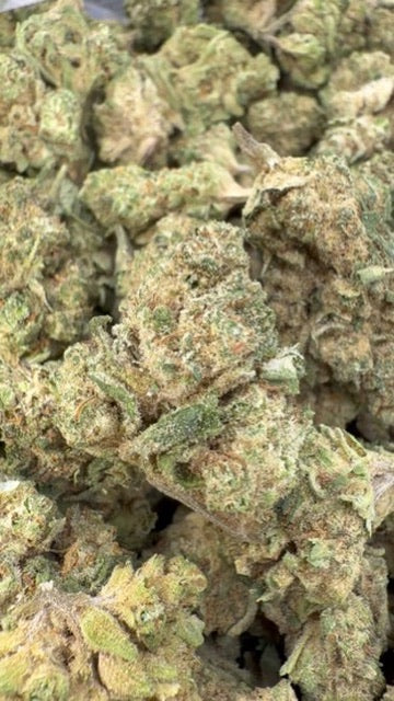 Blueberry Belts - Bulk - Hybrid