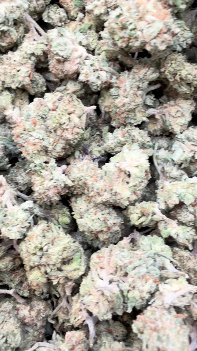 Gorilla Glue Littles - Bulk Littles - Indica