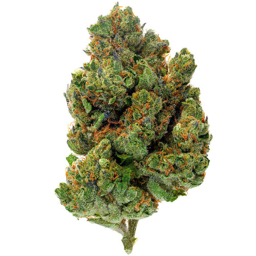 ZAZA - Chocolate Diesel - 28 Grams - Hybrid