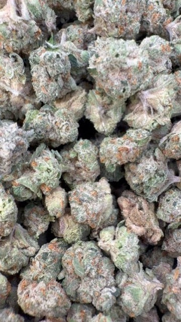 High Society Indoor Littles - Bulk Littles - Hybrid