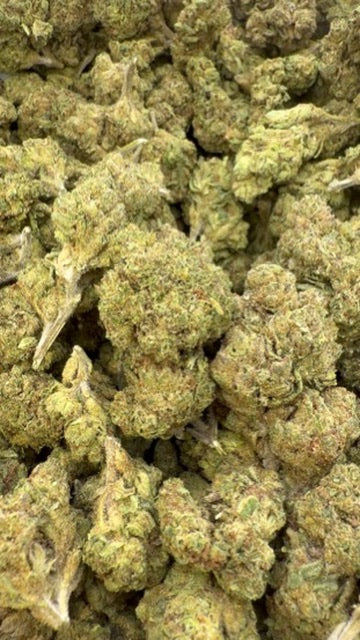Double Runtz - Bulk - Hybrid