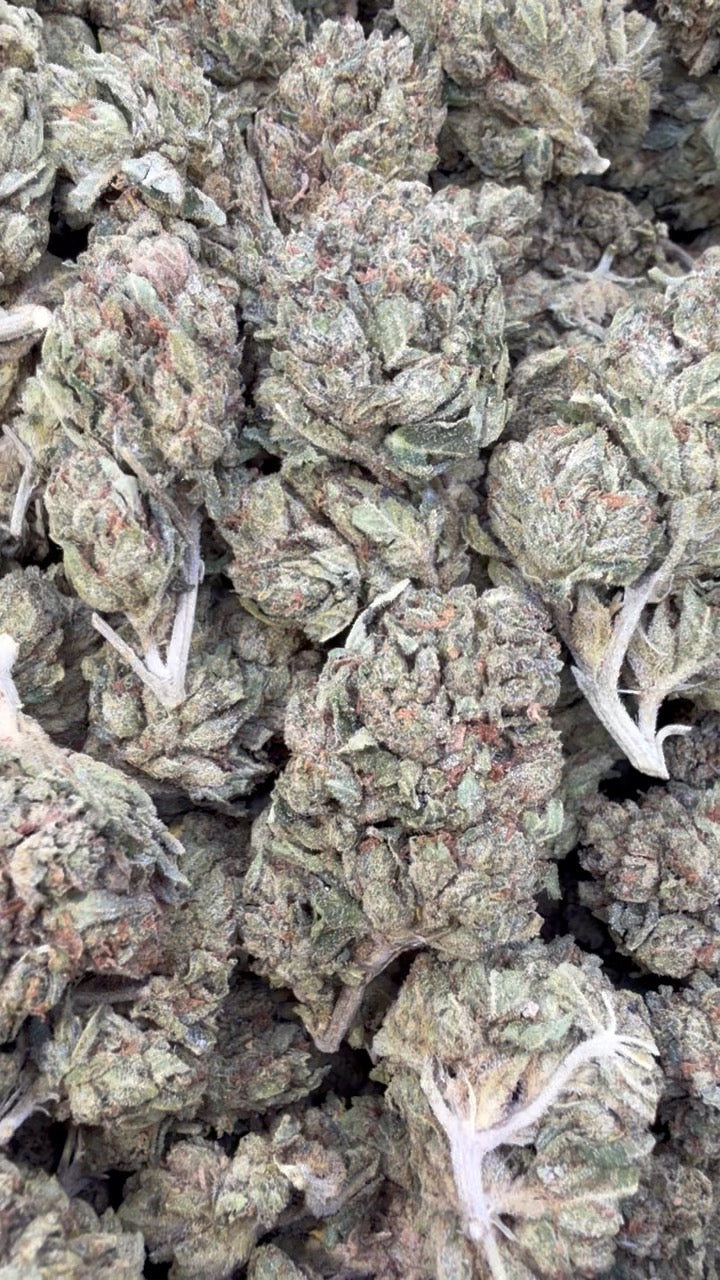 Mega OG - Bulk- Indica