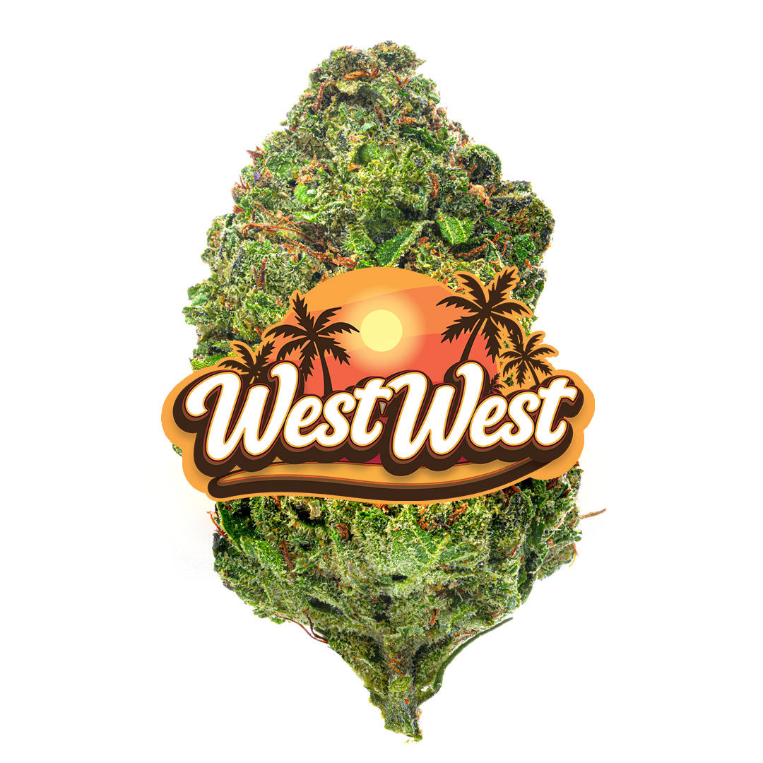 West West Brand - Gummiez - 14 Grams - Hybrid