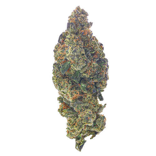 ZAZA - Gusher Mintz - 28 Grams - Hybrid
