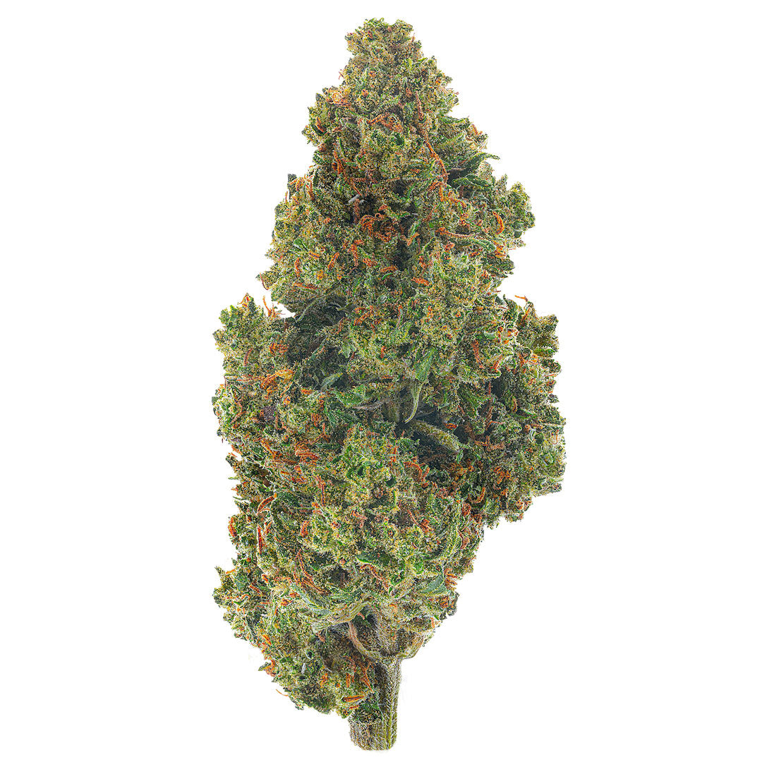 ZAZA - Jack Herer - 14 Grams - Sativa