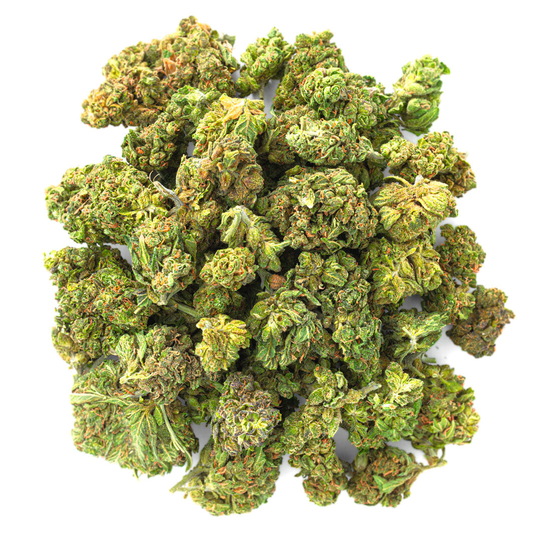 ZAZA - Jungle Gelato - 28 Grams - Indica