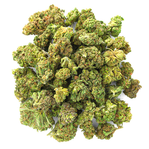 ZAZA - Jungle Gelato - 28 Grams - Indica