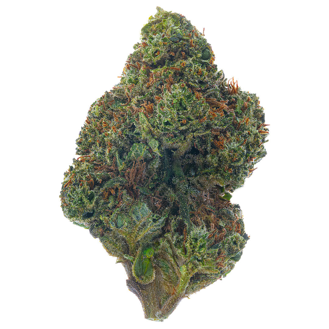 ZAZA - Super Lemon Haze  - 14 Grams - Sativa