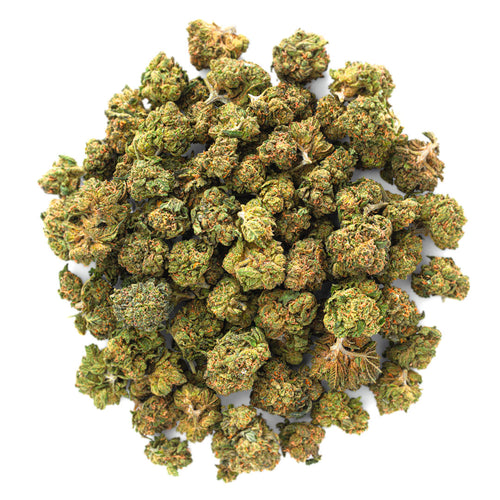 ZAZA - Gelato Kush - 28 Grams - Indica
